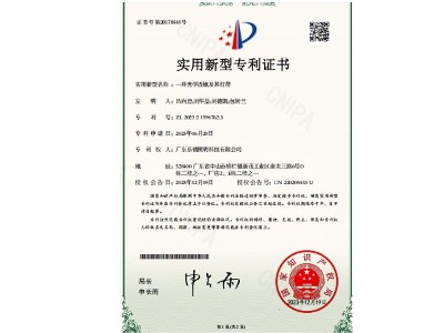 实用新型专利证书 一种光学透镜及其灯带