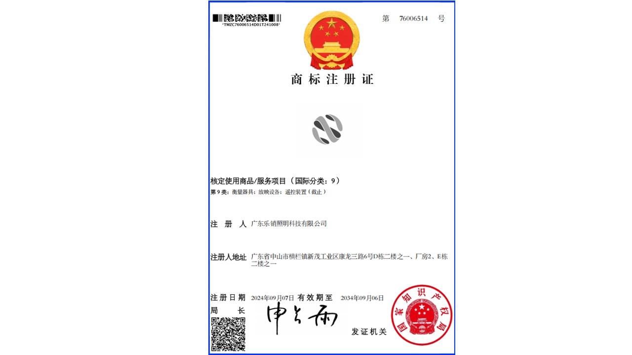 图标-核定使用商品/服务项目(国际分类:9)