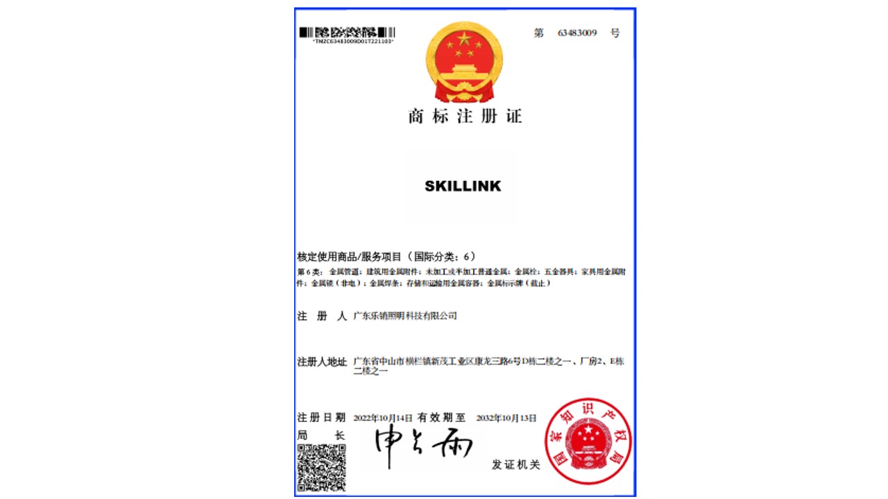 SKILLINK 核定使用商品/服务项目(国际分类:6)